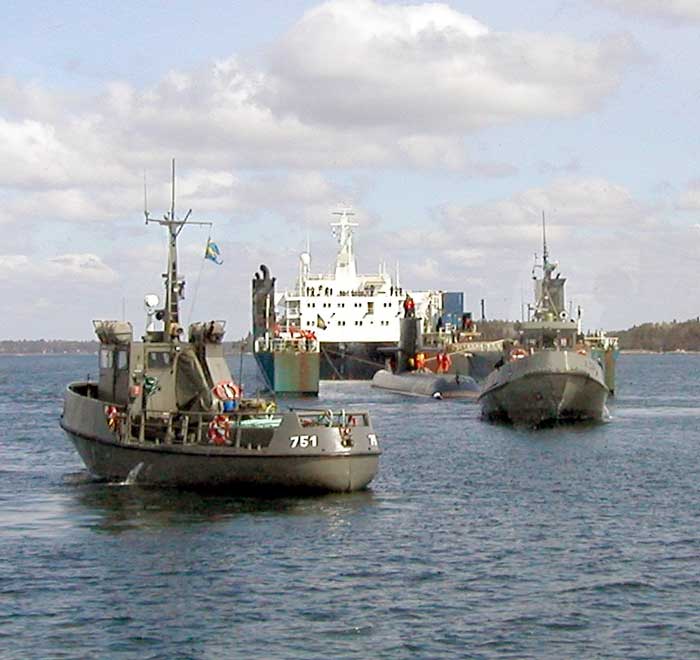 HMS Viking
