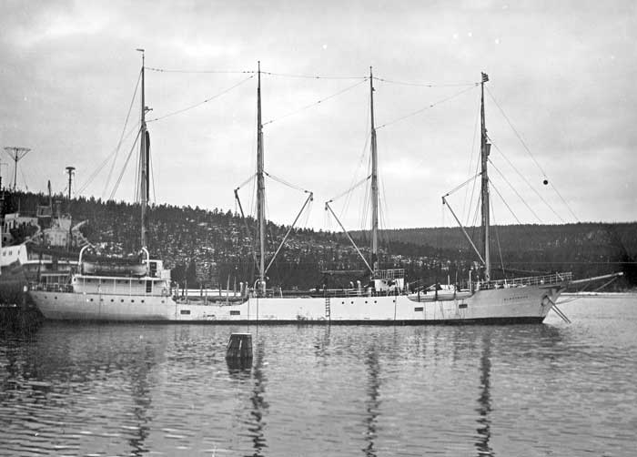 Albatross