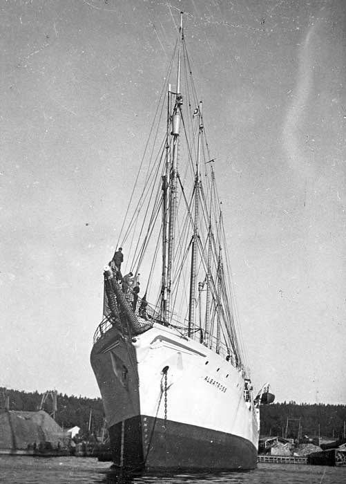 Albatross