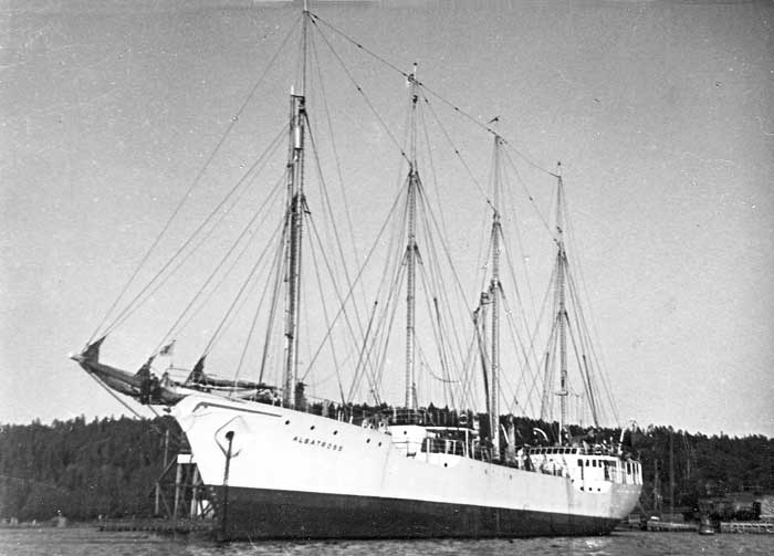 Albatross