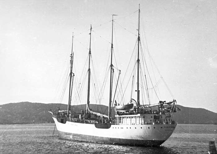 Albatross