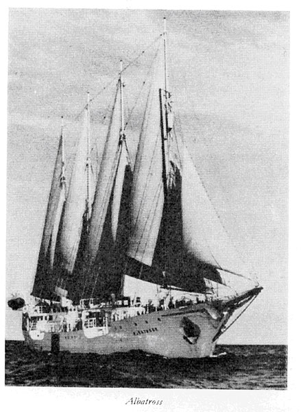 Albatross