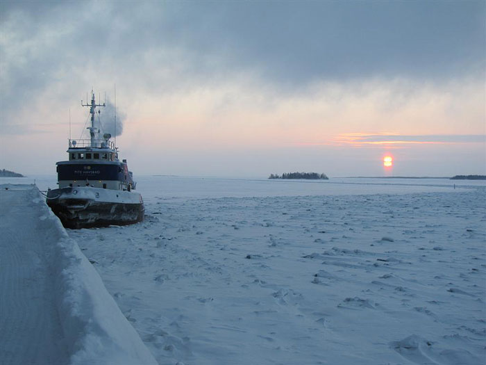 Arctic Explorer