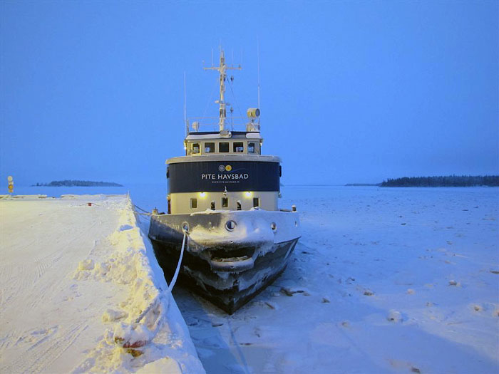Arctic Explorer