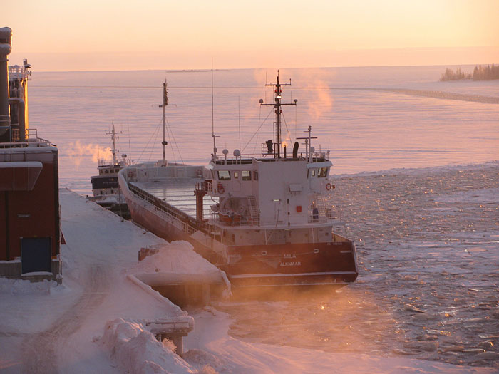 Arctic Explorer