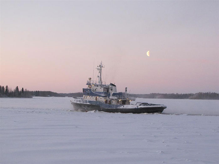 Arctic Explorer