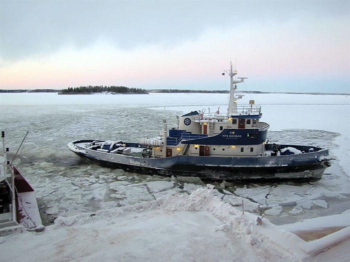 Arctic Explorer