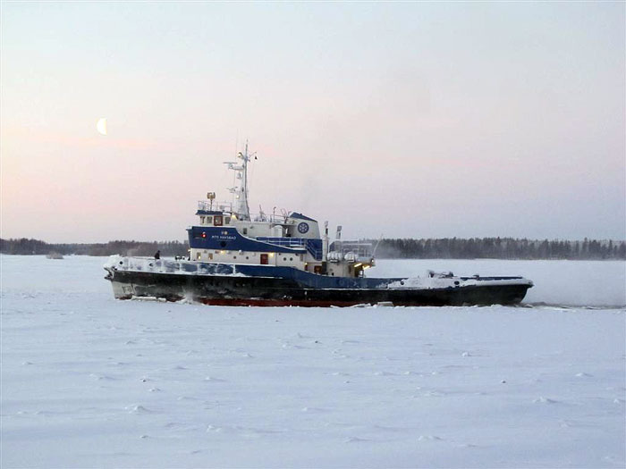 Arctic Explorer