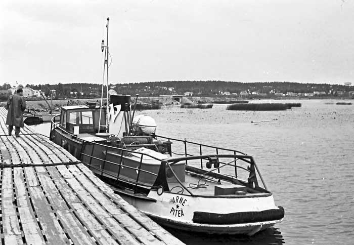 Arne
