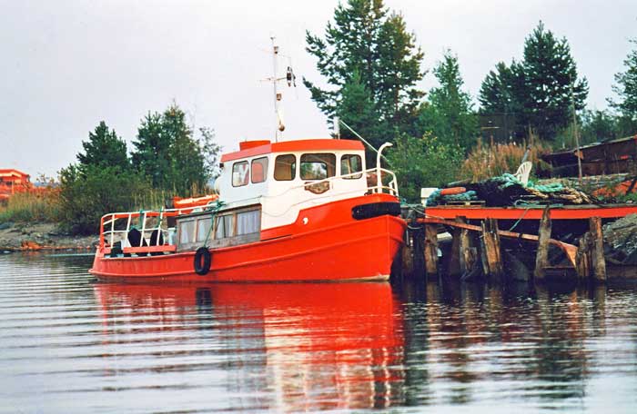 Arne