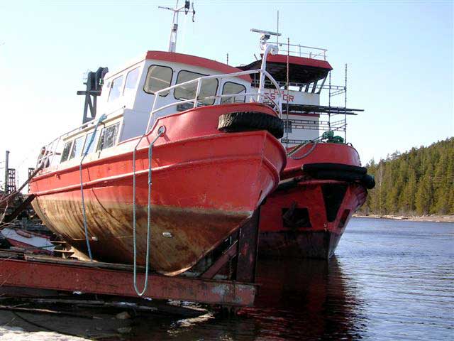 Arne
