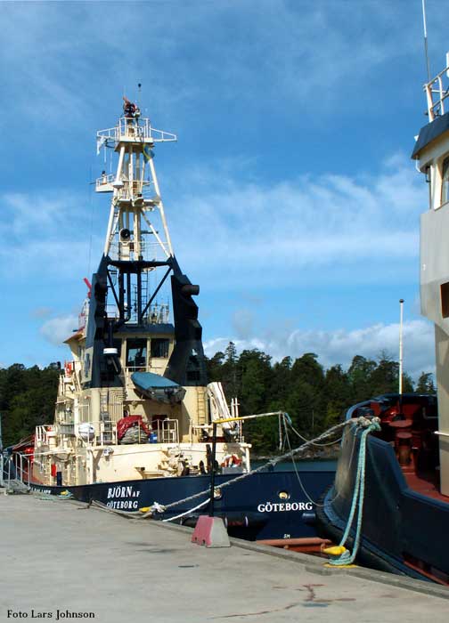 Bj�rn af G�teborg