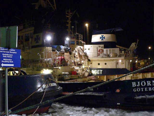 Bj�rn af G�teborg