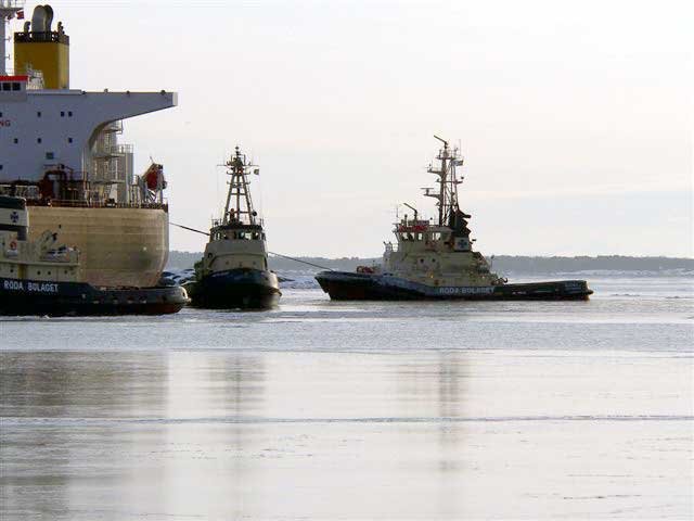 Bj�rn af G�teborg