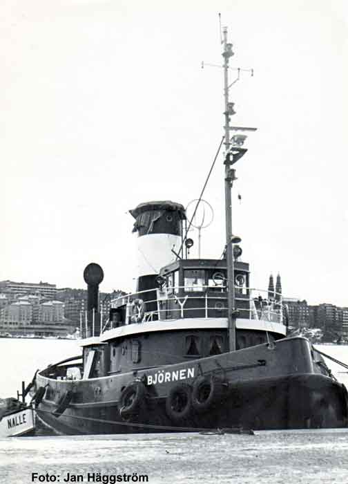 Bj�rnen