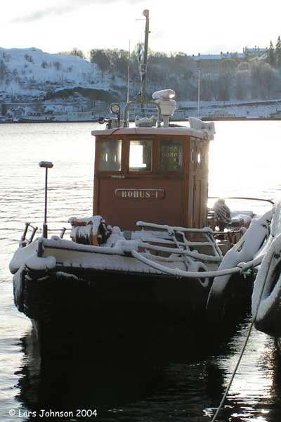 Bohus I