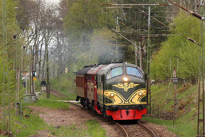 Di3