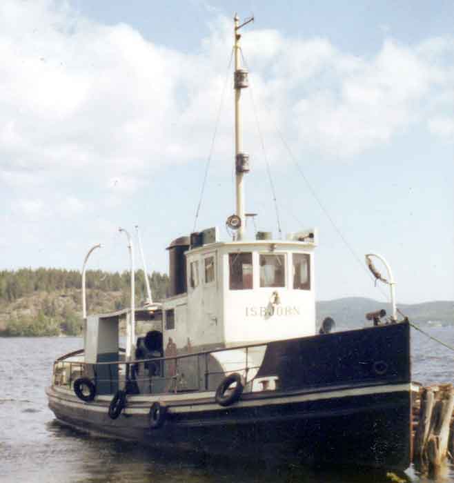 Isbjörn