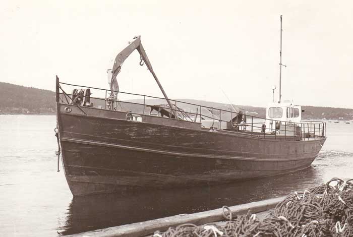 Flottisten