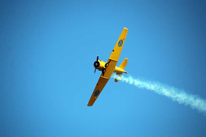 Flygvapendagen