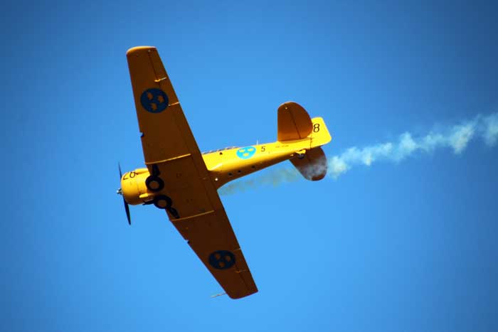 Flygvapendagen