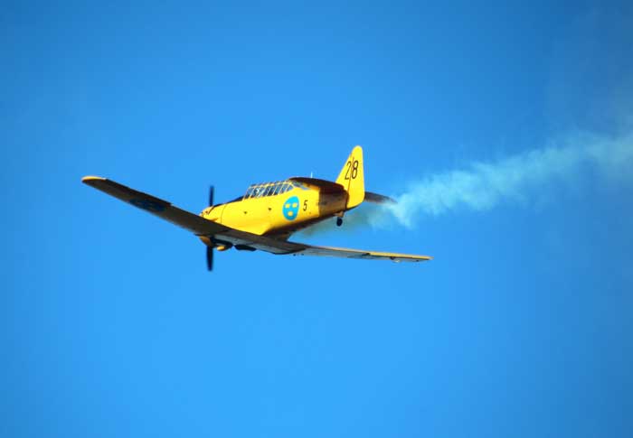 Flygvapendagen