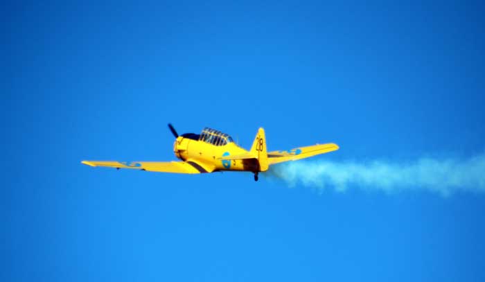 Flygvapendagen