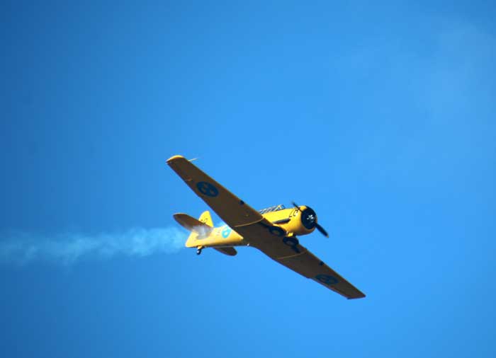 Flygvapendagen