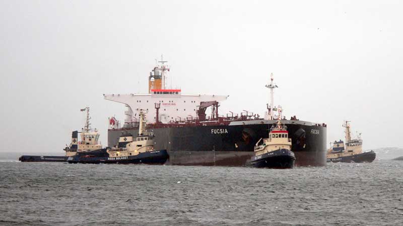 Fucsia assisteras i Nyn�shamn 2006 06 11 p� detta foto av B-O Lindgren