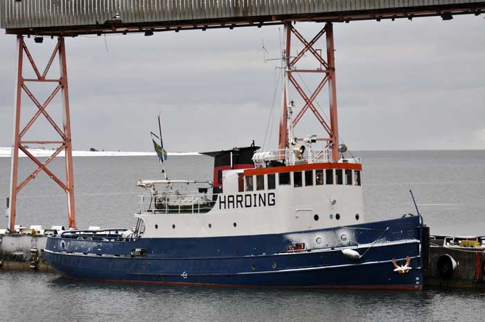 Harding