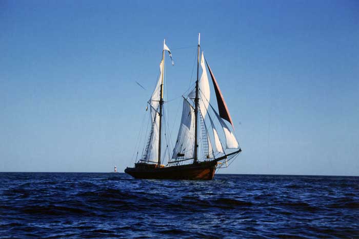 Hoppet