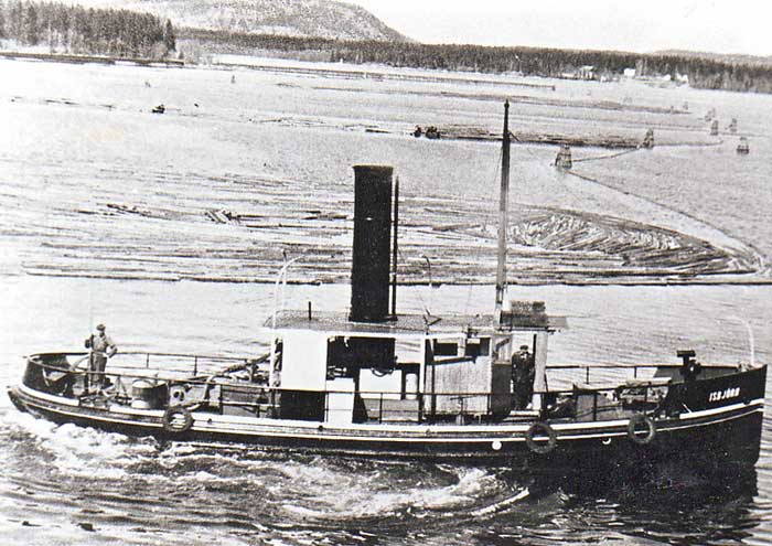 Isbjörn