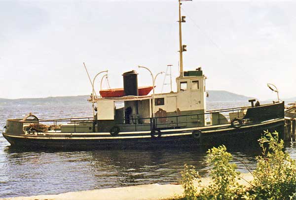 Isbjörn