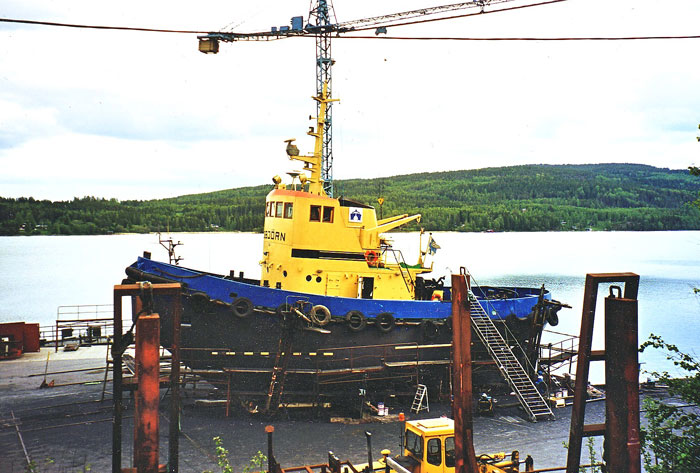 Isbj�rn