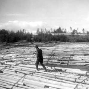 1961