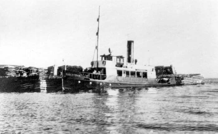 Robertsvik