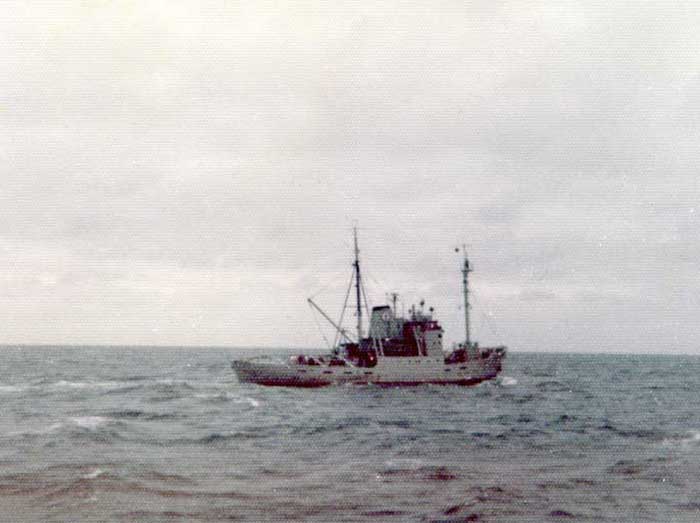 Salvator