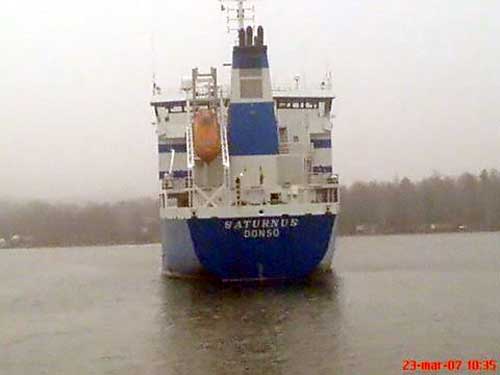 Sturnus