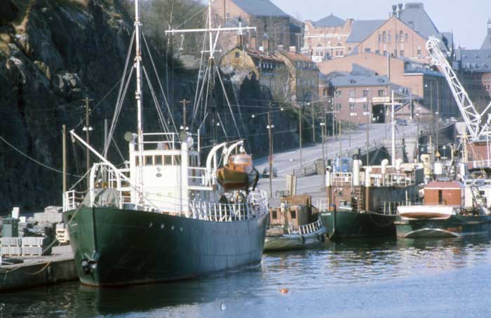 S�der M�larstrand 1 maj 1975