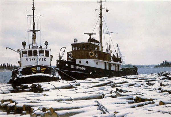 Storvik och Storviking