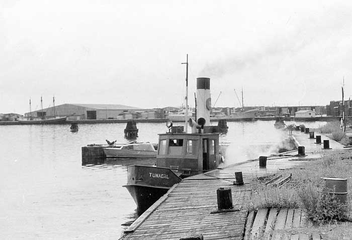Tunadal