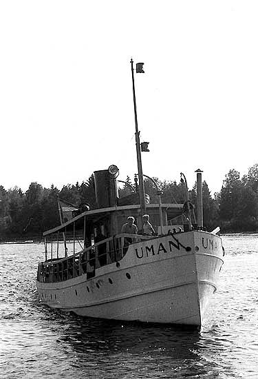 Uman
