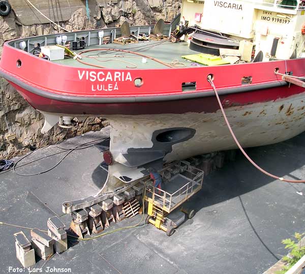 Viscaria