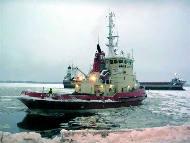 Viscaria