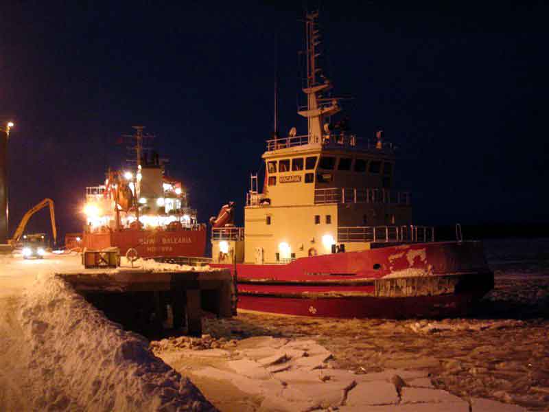 Viscaria