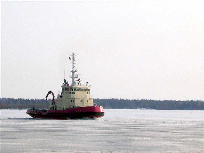 Viscaria