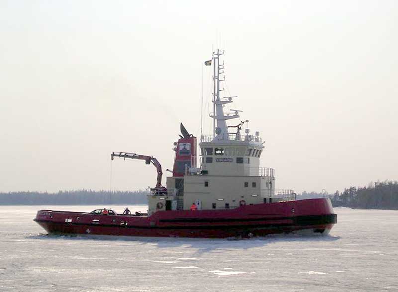 Viscaria