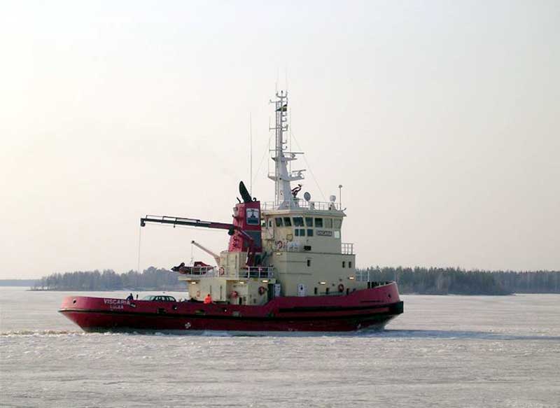 Viscaria