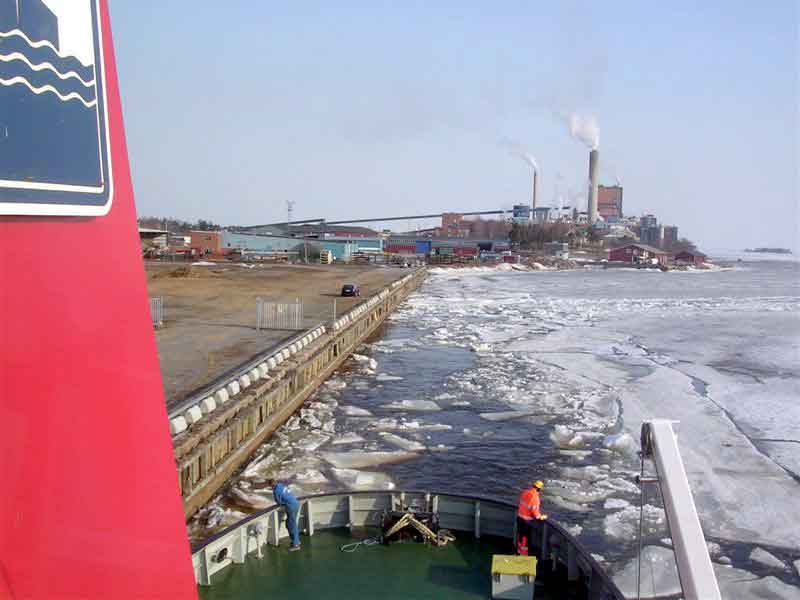Viscaria