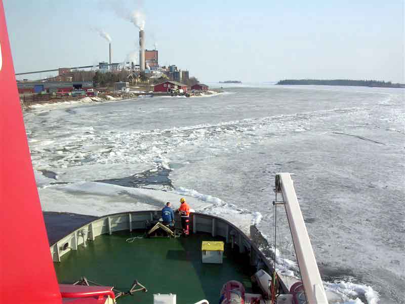 Viscaria